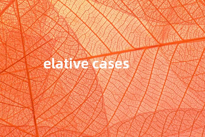 elative cases单词图解，单词释义场景配图