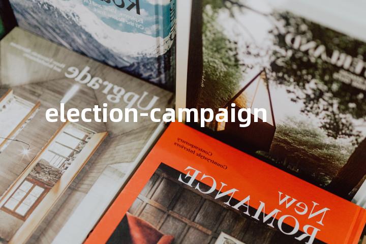 election-campaign单词图解，单词释义场景配图