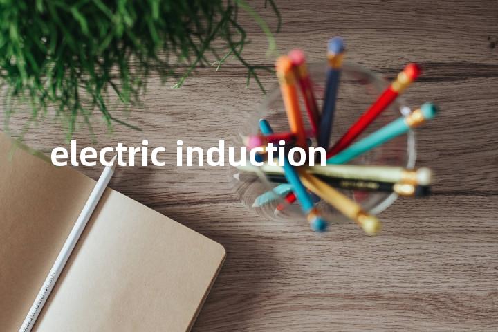 electric induction单词图解，单词释义场景配图