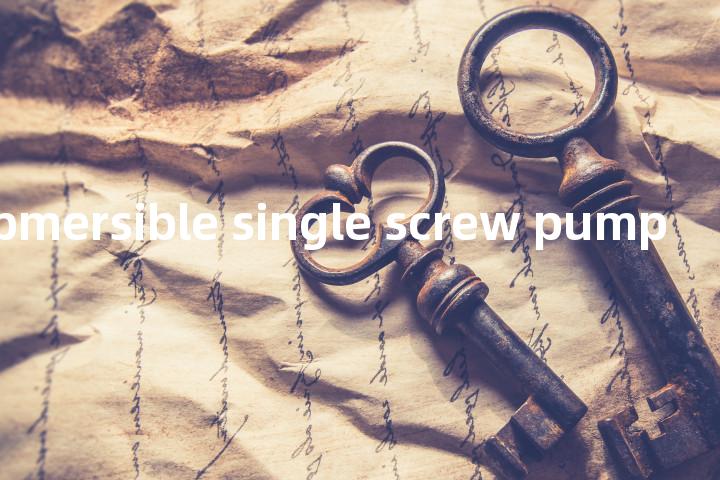 electric submersible single screw pump单词图解，单词释义场景配图