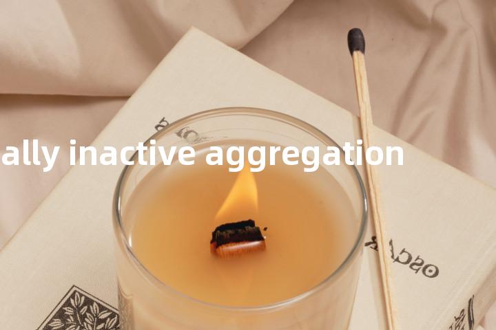 electrically inactive aggregation单词图解，单词释义场景配图