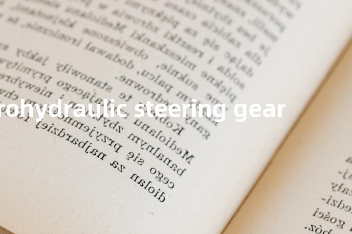 electrohydraulic steering gear单词图解，单词释义场景配图