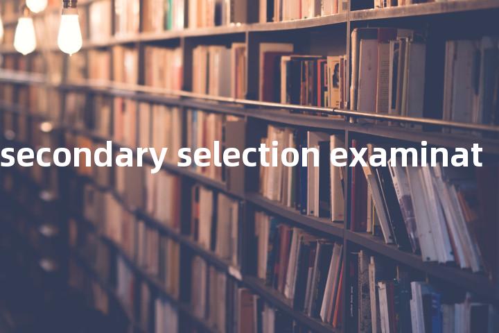 eleven plus secondary selection examination单词图解，单词释义场景配图