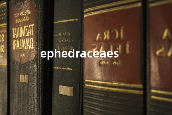ephedraceaes单词图解，单词释义场景配图