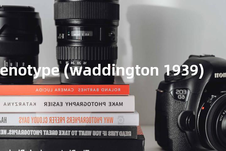 epigenotype (waddington 1939)单词图解，单词释义场景配图