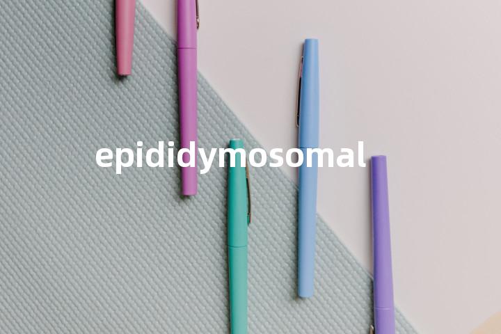 epididymosomal单词图解，单词释义场景配图