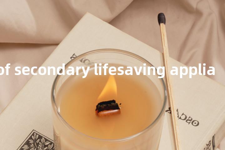 equipment of secondary lifesaving appliance单词图解，单词释义场景配图