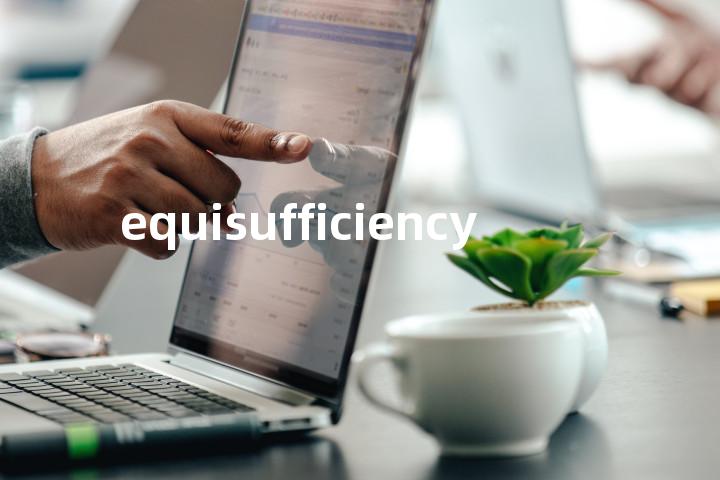 equisufficiency单词图解，单词释义场景配图