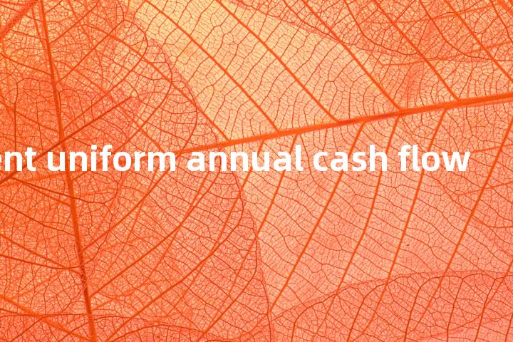 equivalent uniform annual cash flow单词图解，单词释义场景配图