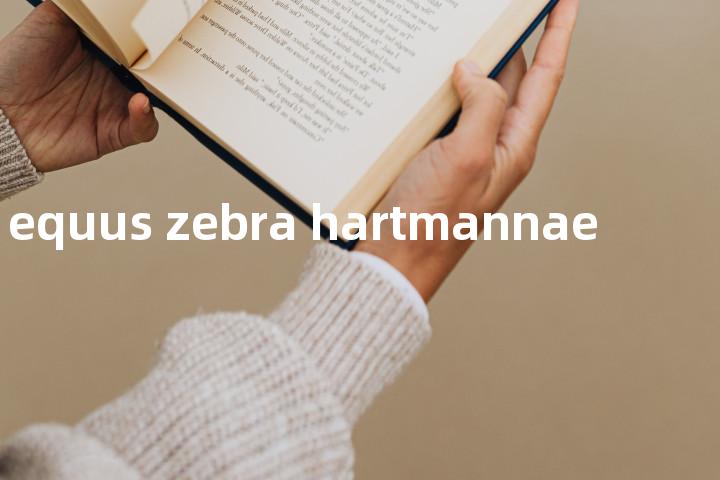 equus zebra hartmannae单词图解，单词释义场景配图