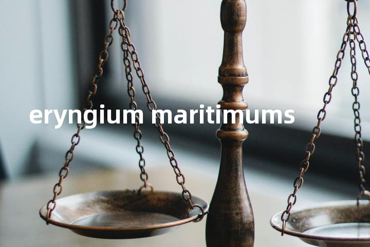 eryngium maritimums单词图解，单词释义场景配图