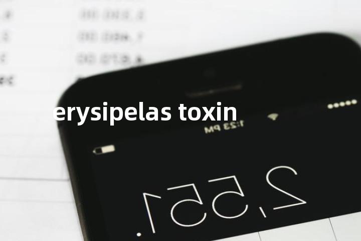 erysipelas toxin单词图解，单词释义场景配图