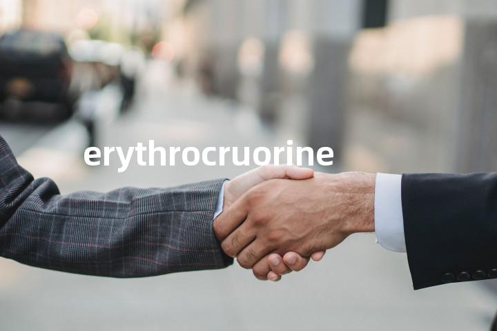 erythrocruorine单词图解，单词释义场景配图