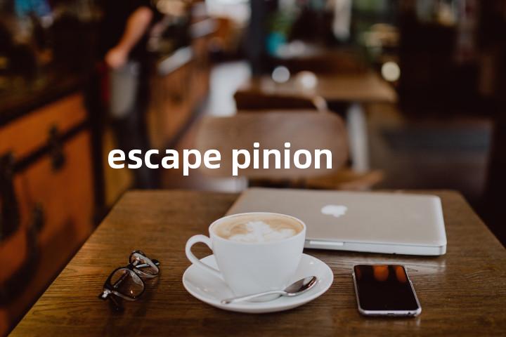 escape pinion单词图解，单词释义场景配图