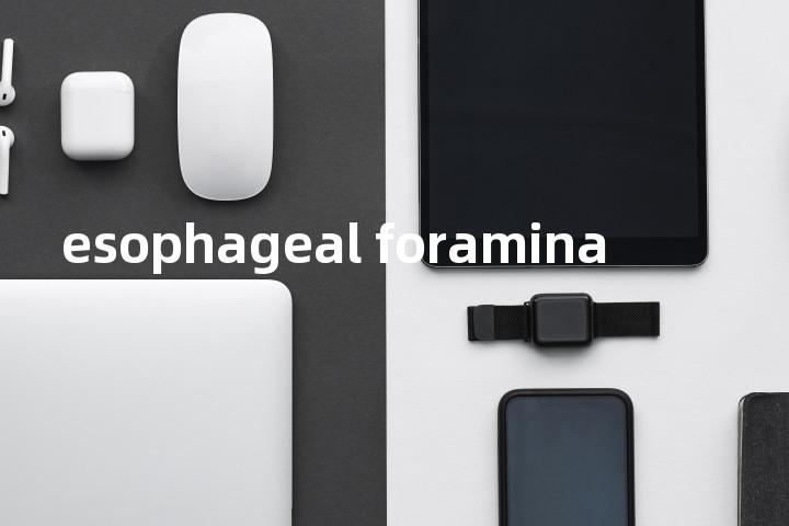 esophageal foramina单词图解，单词释义场景配图