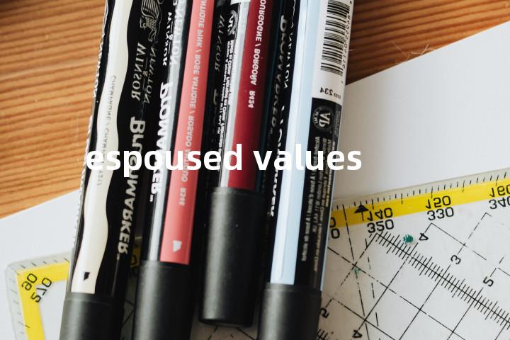 espoused values单词图解，单词释义场景配图
