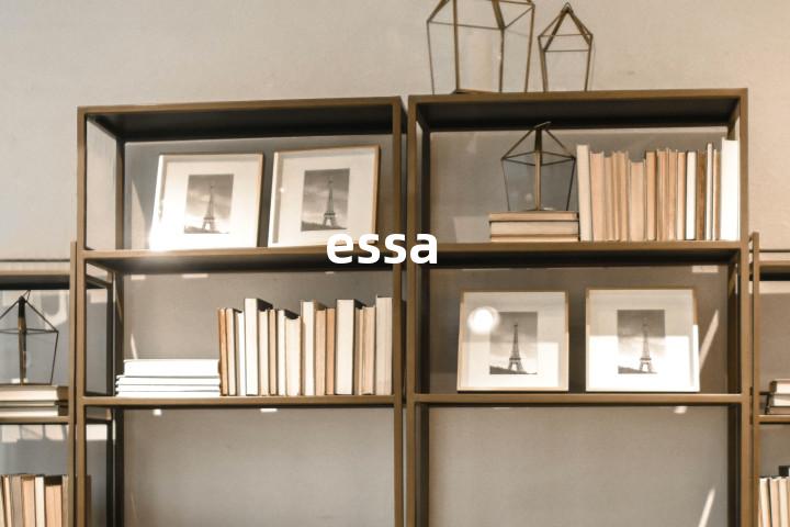 essa单词图解，单词释义场景配图