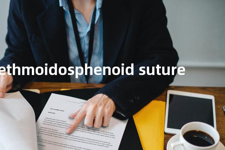 ethmoidosphenoid suture单词图解，单词释义场景配图