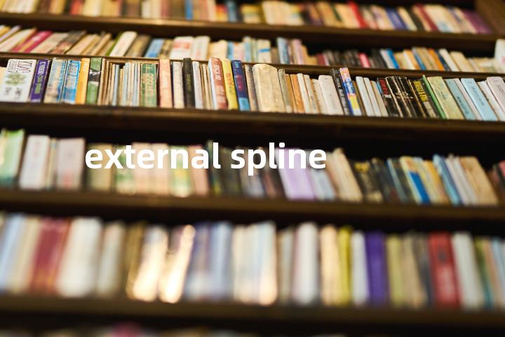 external spline单词图解，单词释义场景配图