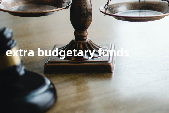 extra budgetary funds单词图解，单词释义场景配图