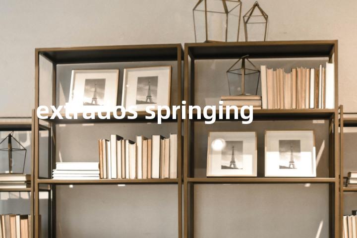 extrados springing单词图解，单词释义场景配图