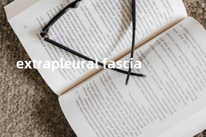 extrapleural fascia单词图解，单词释义场景配图