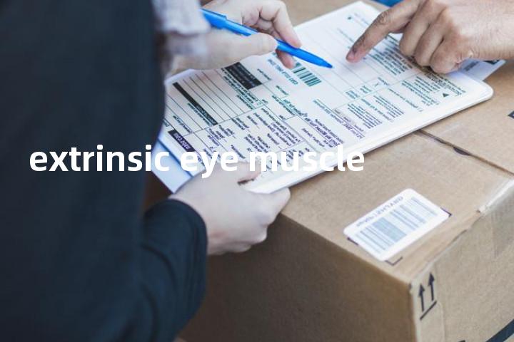 extrinsic eye muscle单词图解，单词释义场景配图