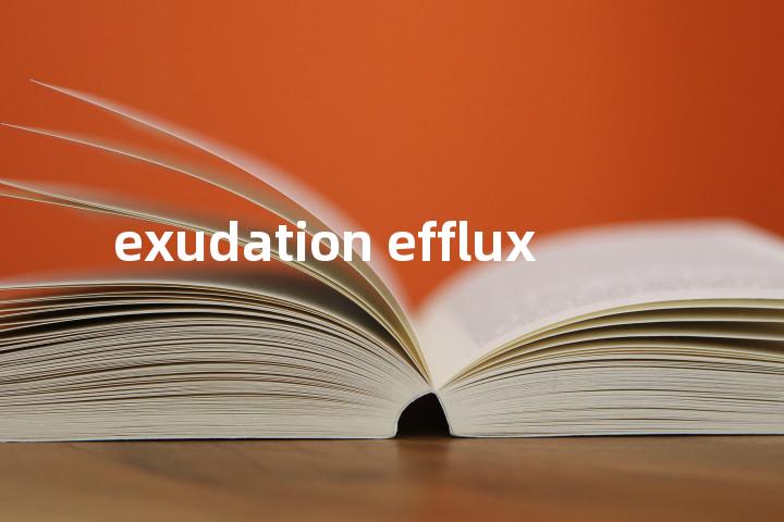 exudation efflux单词图解，单词释义场景配图