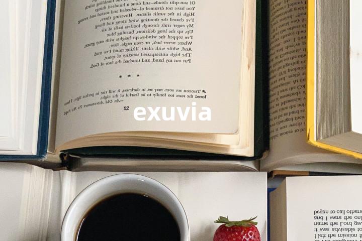 exuvia单词图解，单词释义场景配图