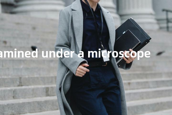 examined under a microscope单词图解，单词释义场景配图