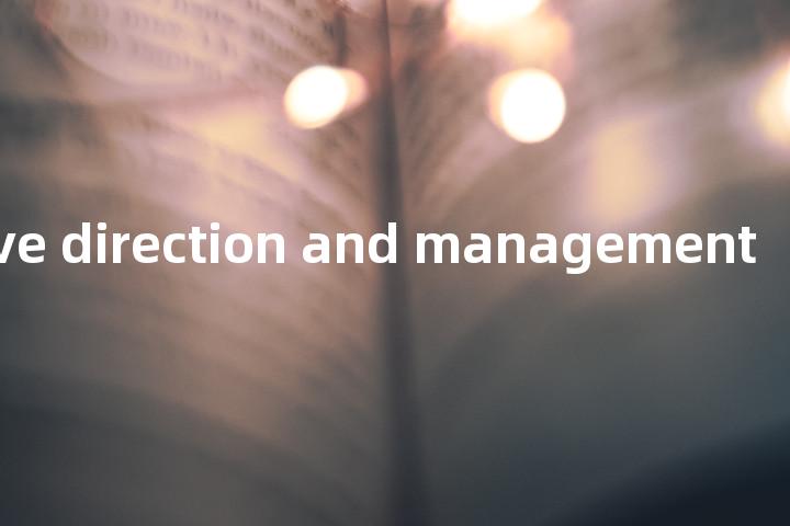 executive direction and management单词图解，单词释义场景配图