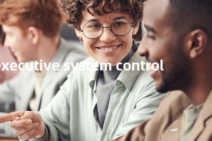 executive system control单词图解，单词释义场景配图