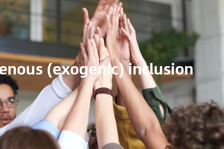 exogenous (exogenic) inclusion单词图解，单词释义场景配图