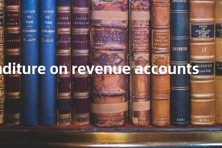 expenditure on revenue accounts单词图解，单词释义场景配图