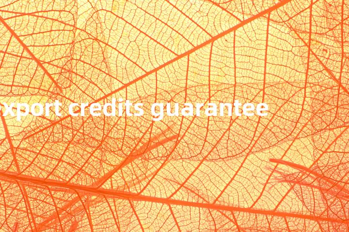 export credits guarantee单词图解，单词释义场景配图