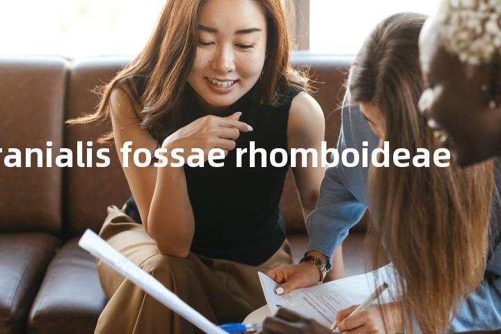 fovea cranialis fossae rhomboideae单词图解，单词释义场景配图