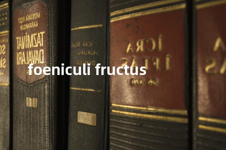foeniculi fructus单词图解，单词释义场景配图