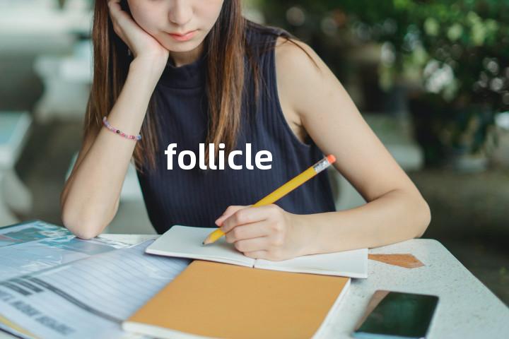 follicle