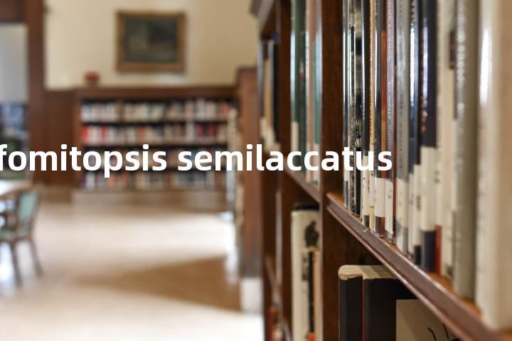 fomitopsis semilaccatus单词图解，单词释义场景配图