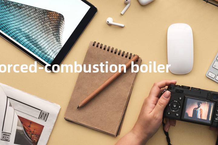 forced-combustion boiler单词图解，单词释义场景配图