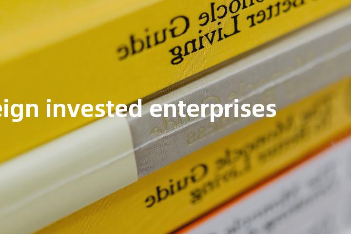 foreign invested enterprises单词图解，单词释义场景配图