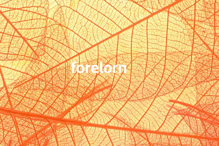 forelorn单词图解，单词释义场景配图