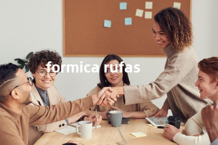formica rufas单词图解，单词释义场景配图