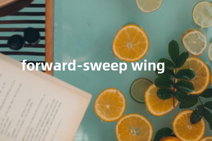 forward-sweep wing单词图解，单词释义场景配图