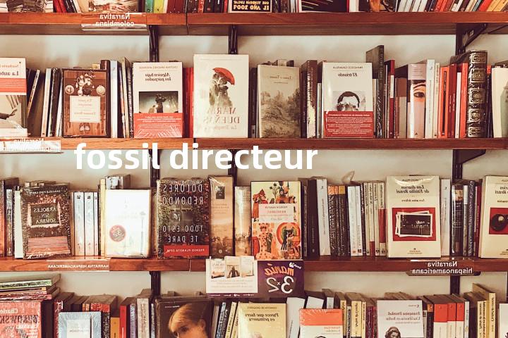fossil directeur单词图解，单词释义场景配图