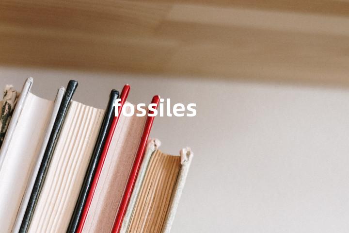 fossiles单词图解，单词释义场景配图