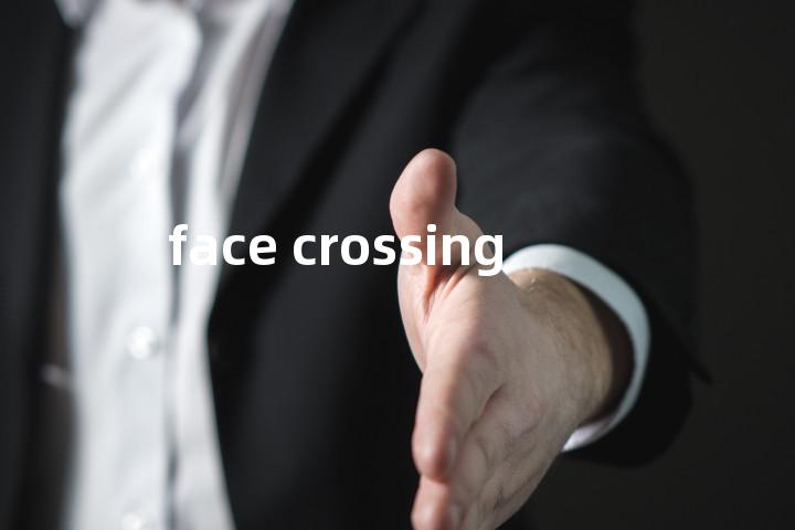face crossing单词图解，单词释义场景配图