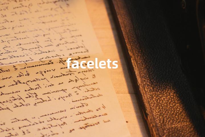 facelets单词图解，单词释义场景配图