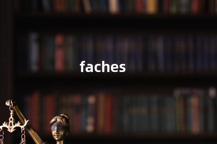 faches单词图解，单词释义场景配图