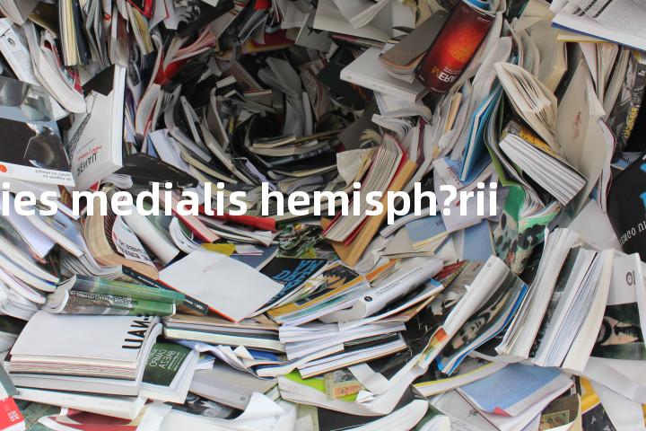 facies medialis hemisph?rii单词图解，单词释义场景配图